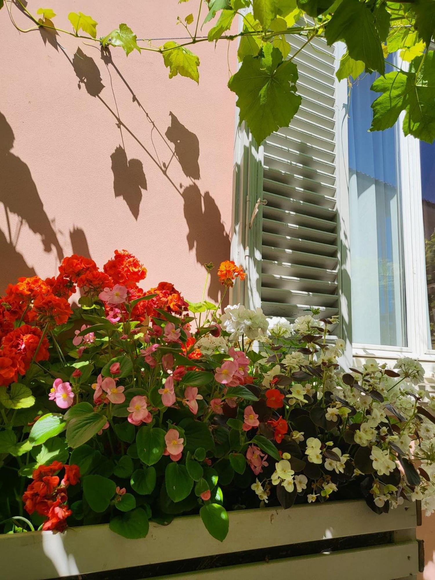 il buen retiro Hotel Lucca Eksteriør billede