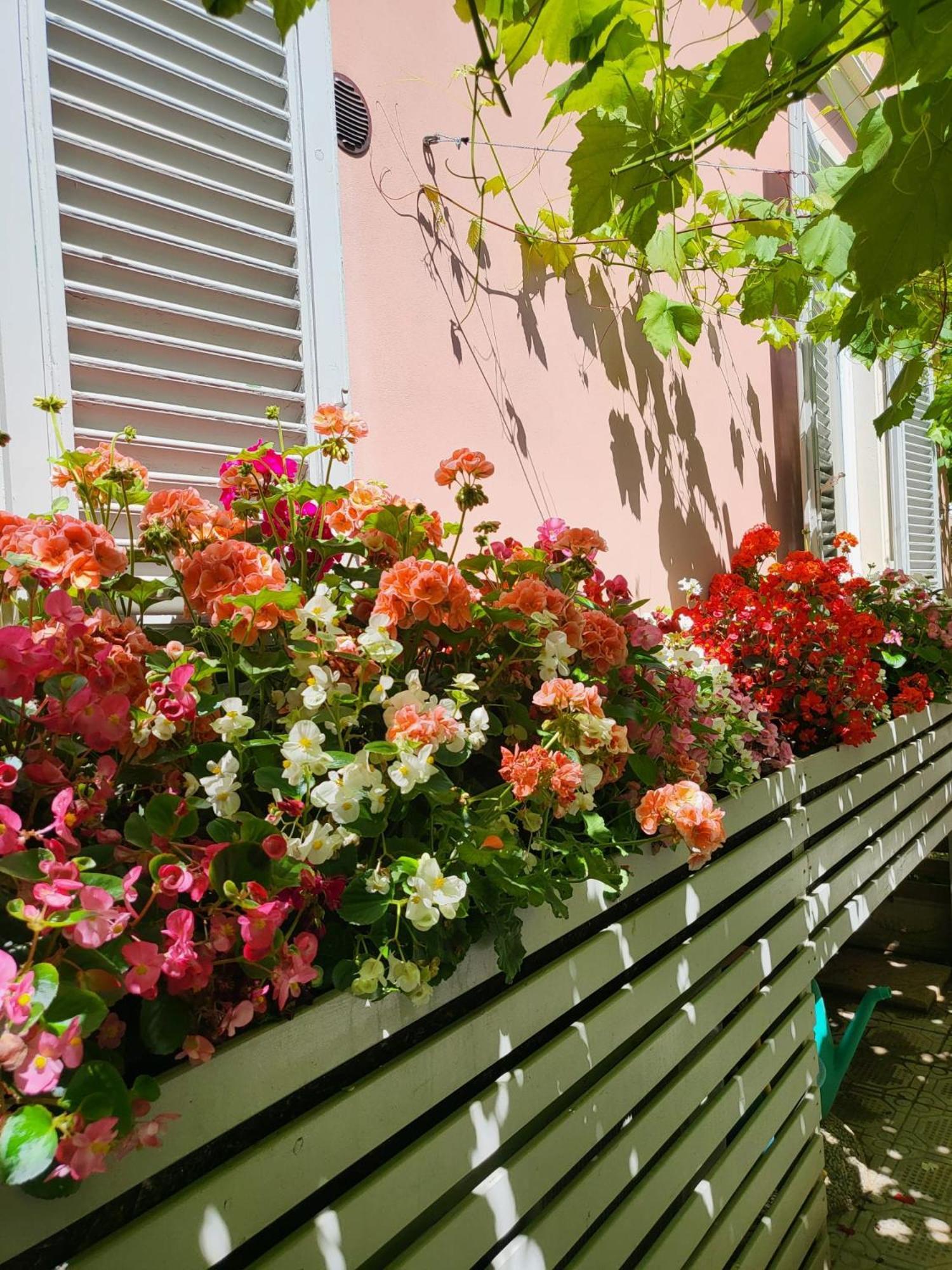 il buen retiro Hotel Lucca Eksteriør billede