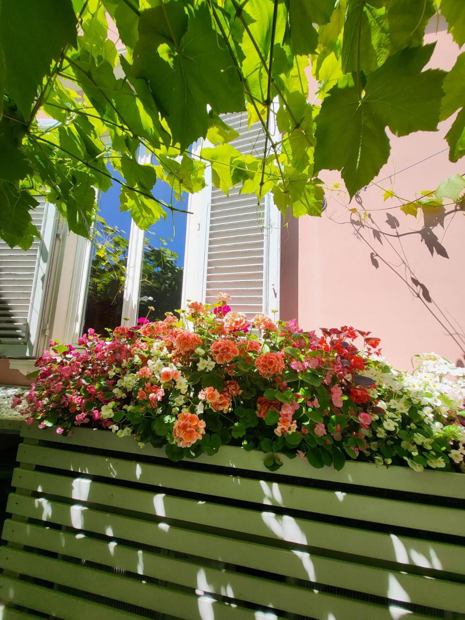 il buen retiro Hotel Lucca Eksteriør billede