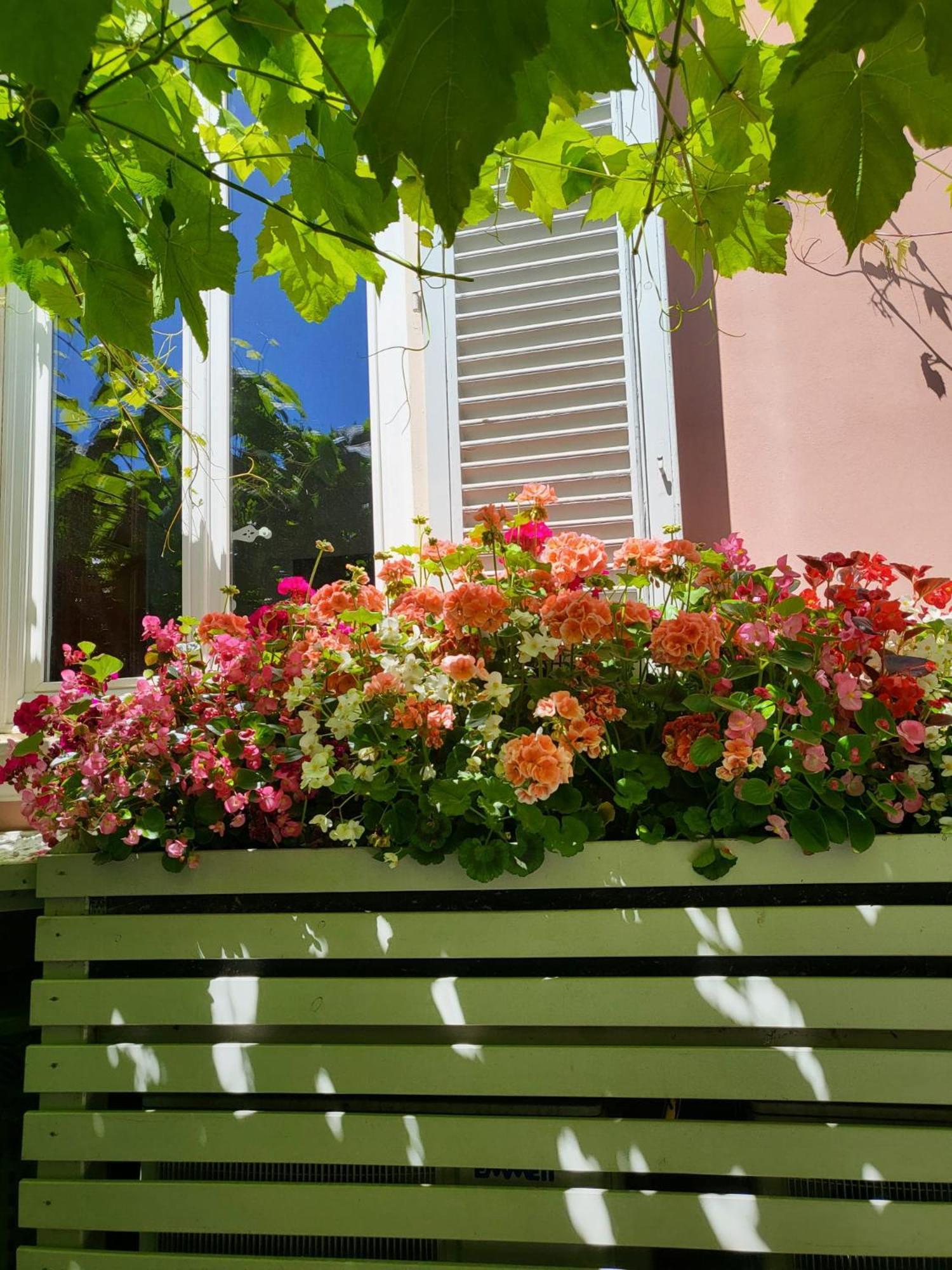il buen retiro Hotel Lucca Eksteriør billede