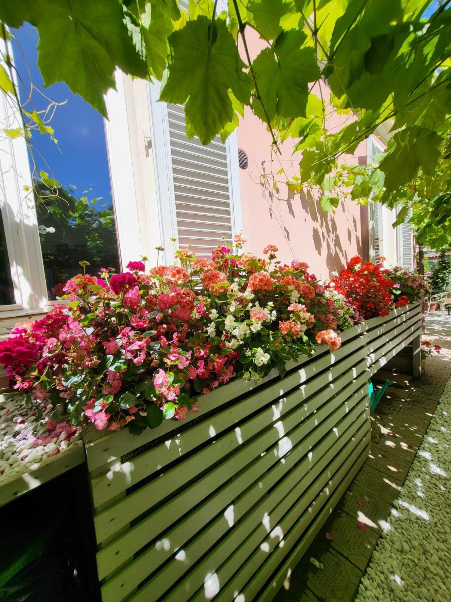 il buen retiro Hotel Lucca Eksteriør billede