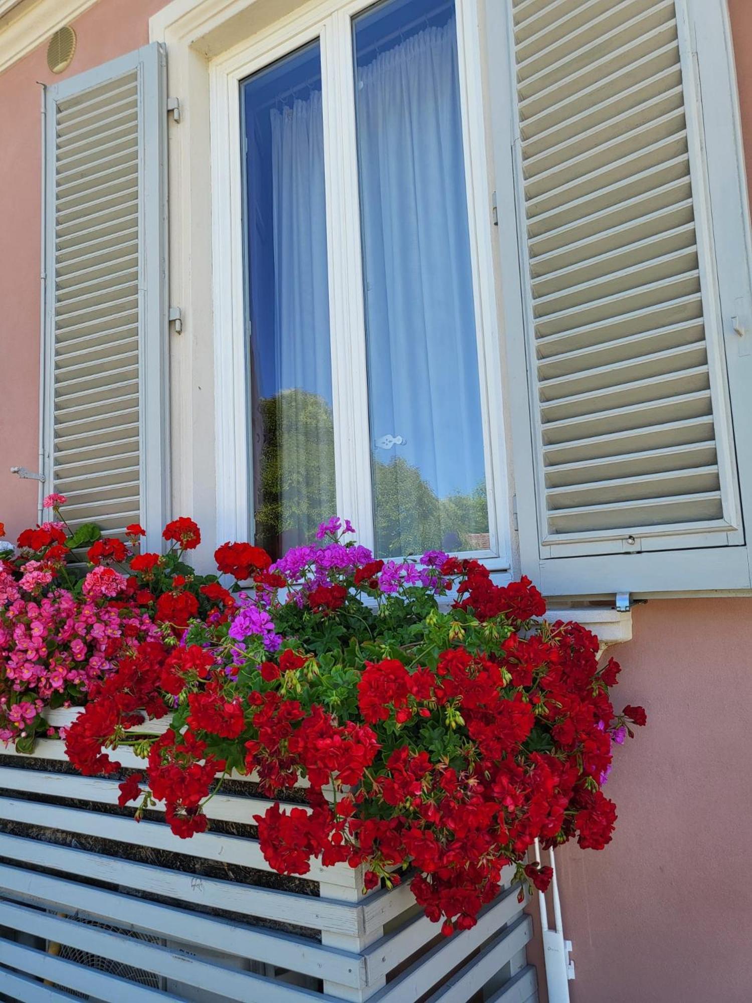il buen retiro Hotel Lucca Eksteriør billede